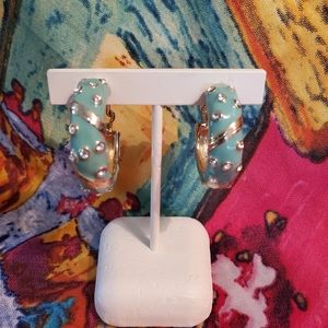 Pretty Aqua Green Earrings!!🐳🐸🐳